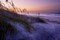 Lavender Beach I Poster Print by Alan Hausenflock - Item # VARPDXPSHSF164